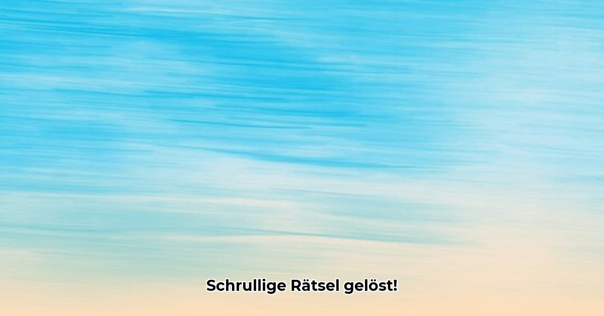 sonderlich-schrullig